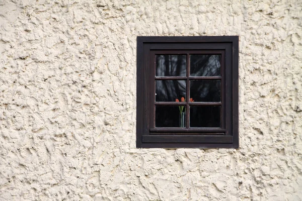 Färgglada Tulpaner Vårblommor — Stockfoto