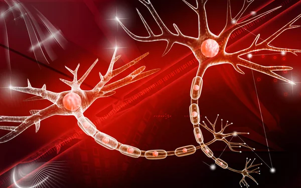 Neuron Digitális Illusztrációja Színes Háttérrel — Stock Fotó