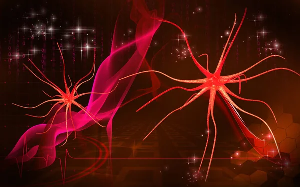 Digitale Darstellung Von Neuronen Farbigen Hintergrund — Stockfoto