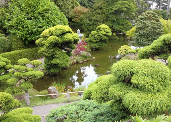 Jardin Japonais Flore Naturelle — Photo