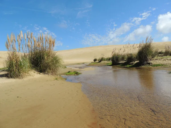 Vista Panorámica Las Dunas Enfoque Selectivo — Foto de Stock