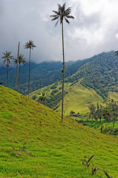 Pitoresca Vista Paisagem Rural — Fotografia de Stock