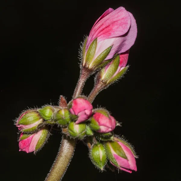 Voll Ausgelastet — Stockfoto