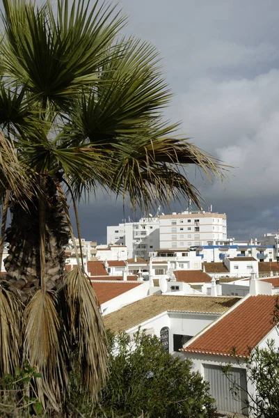View Avenida Das Comunidades Portuguesas Lagos Algarve Portugal — Stock Photo, Image