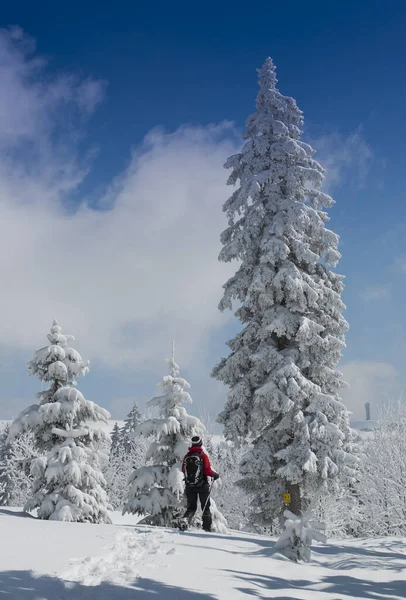 Beautiful View Nature Scenery — Stock Photo, Image