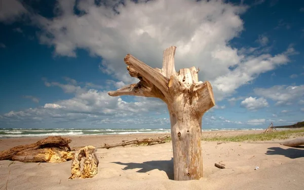 Strand Water Scene Beeld — Stockfoto