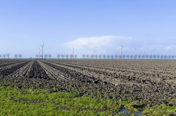 Очищене Поле Вітряною Фермою Задньому Плані Алмере Нідерланди — стокове фото