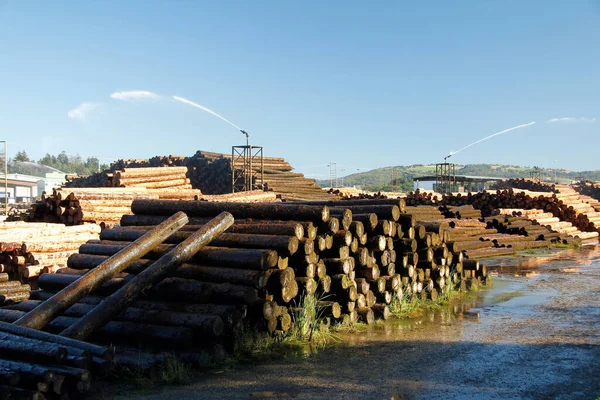 Tartak Systemem Nawilżania System Nawadniania Drewno Pnie — Zdjęcie stockowe