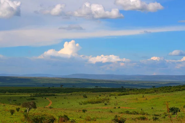 Красивый Пейзаж Африка Кения Мара Масаи — стоковое фото