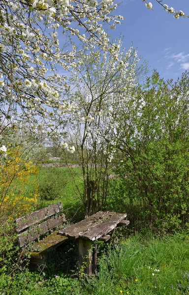 Afgelegen Plek Open Lucht — Stockfoto