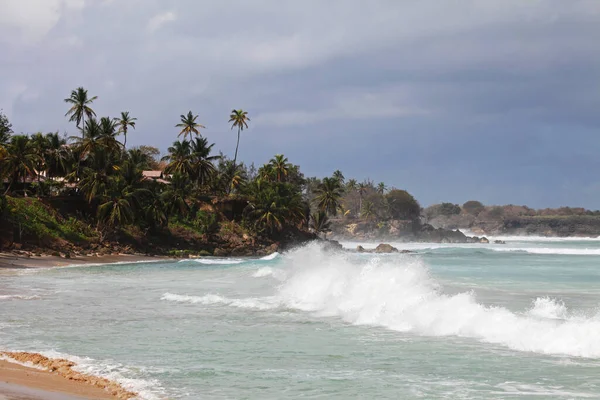 Irvine Öböl Tobago — Stock Fotó