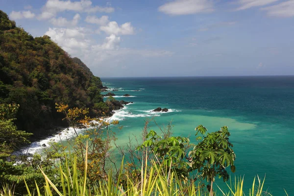 Costa Castara Tobago — Foto de Stock