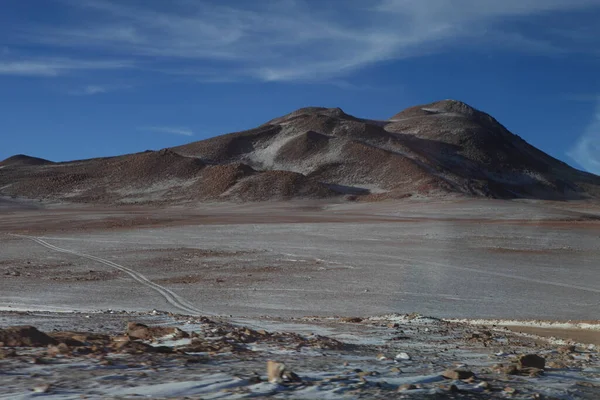 ボリビアとチリのアンデス高地では — ストック写真