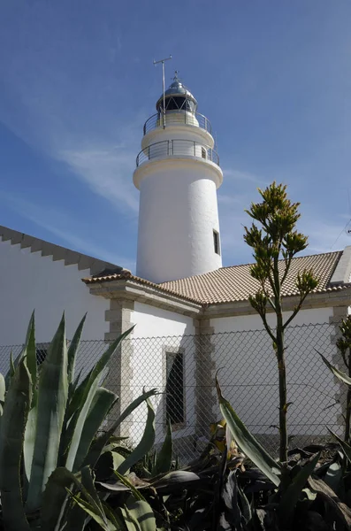 Agaven Vor Dem Leuchtturm Von Capdepera Cala Ratjada Mallorca Spanien — Stockfoto