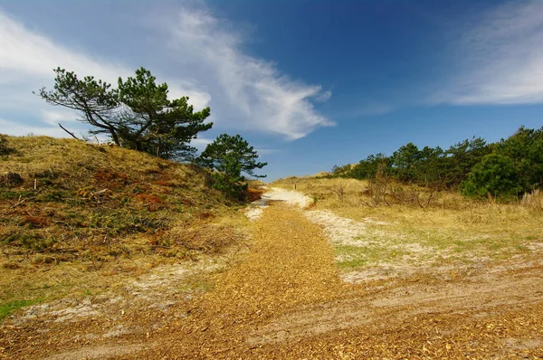 Paisagem Duna Entre Bergen Aan Zee Schoorl Aan Zee Zona — Fotografia de Stock