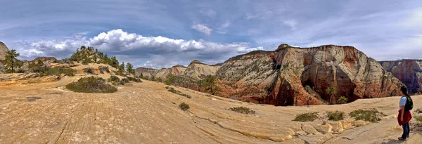 Randonnées Zion — Photo