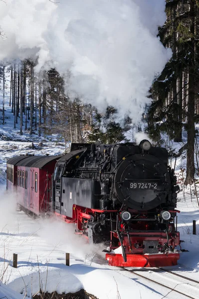 Harz Strette Ferrovie Calibro Selketalbahn Inverno — Foto Stock