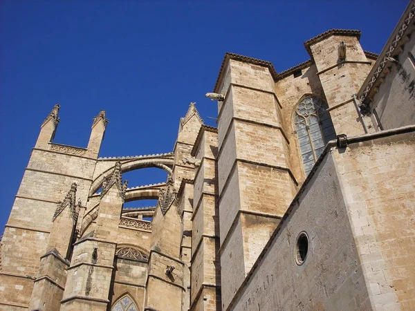 Palma Mallorca主教座堂 — 图库照片