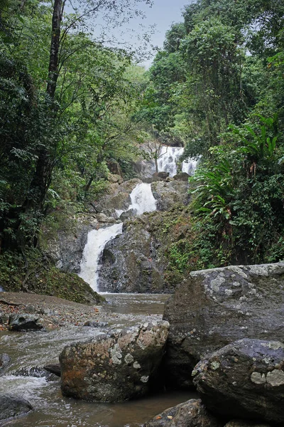 自然植物区系 瀑布水流 — 图库照片