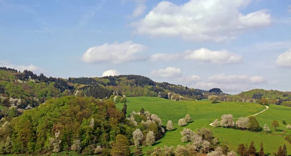 Primavera Odenwald —  Fotos de Stock