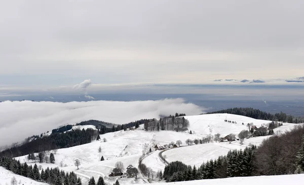 Paysage Hivernal Dans Forêt Noire — Photo