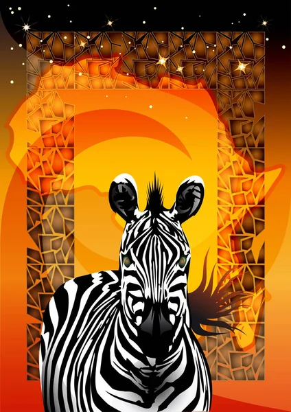 Das Zebra Gegen Afrika Und Sterne Mitternachtshimmel — Stockfoto