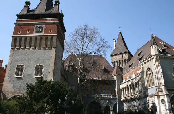 Vajdahunyad Castelo Cidade Budapest Hungary — Fotografia de Stock