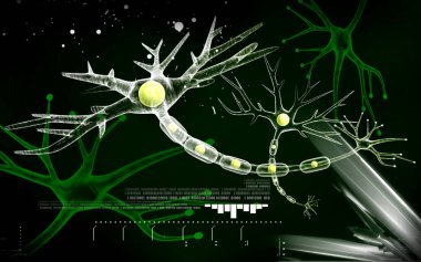 Digital illustration of  neuron  in colour  background 	 clipart