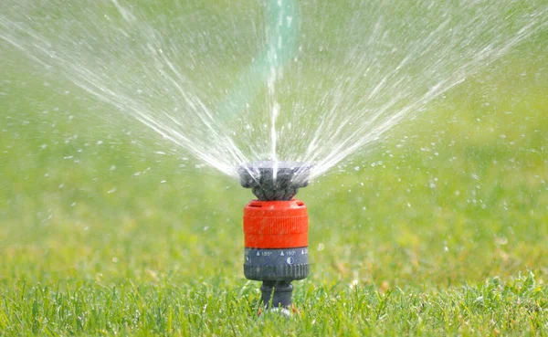 Garden Watered Lawn Sprinklers — Stock Photo, Image
