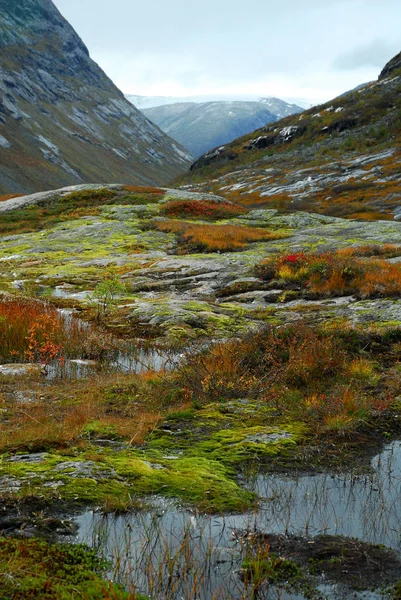 Norwegen Auf Naturlandschaft Hintergrund — Stockfoto