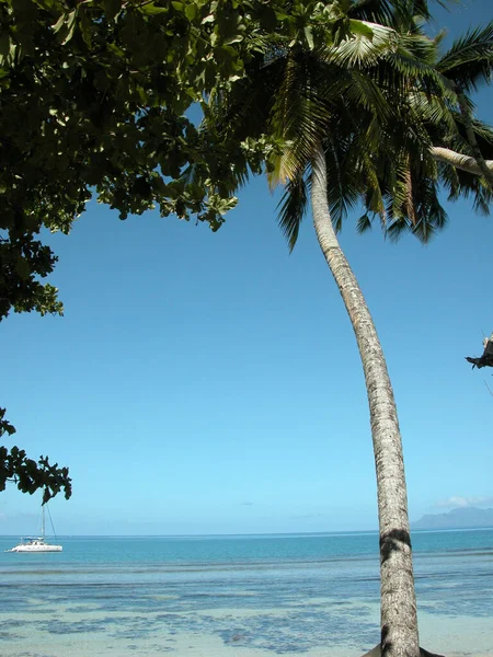 Strand Vid Seychellerna Seychellerna — Stockfoto