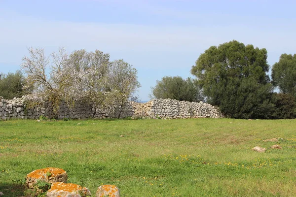 Majorka Majorka Jest Jedną Hiszpańskich Balearów Morzu Śródziemnym — Zdjęcie stockowe