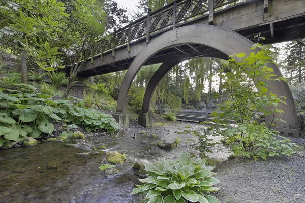 Stream Flowing Wooden Bridge Arches Сайті Crystal Springs Rhododendron Garden — стокове фото