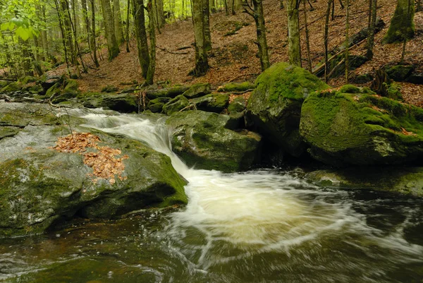 Beieren Grootste Duitse Staat Landoppervlakte Ongeveer Een Vijfde Van Totale — Stockfoto