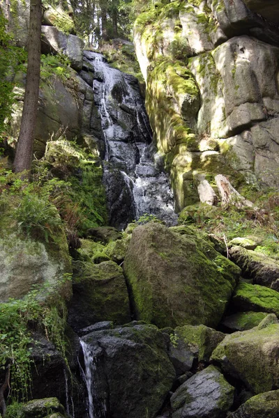 Prachtig Uitzicht Natuur Scene — Stockfoto