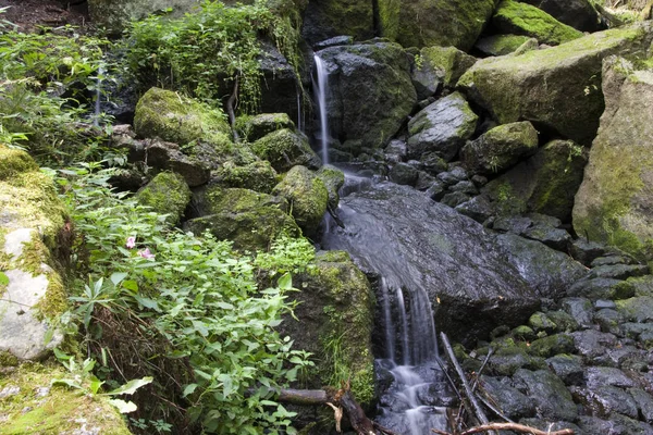 Hermosa Cascada Sobre Fondo Naturaleza —  Fotos de Stock