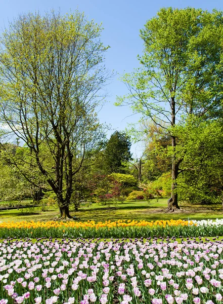 Villa Taranto Italien Berühmter Italienischer Garten Mit Eigener Fläche Für — Stockfoto