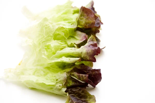 Vedere Closeup Salată Proaspătă Gustoasă — Fotografie, imagine de stoc