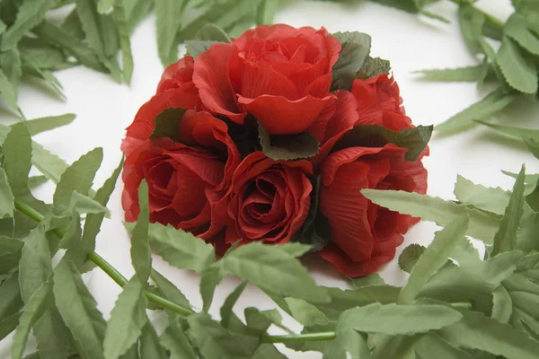 Лепестки Роз Флора — стоковое фото