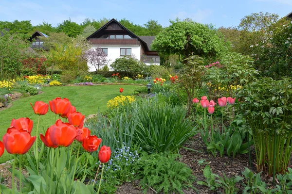 Bellissimo Giardino Primavera — Foto Stock