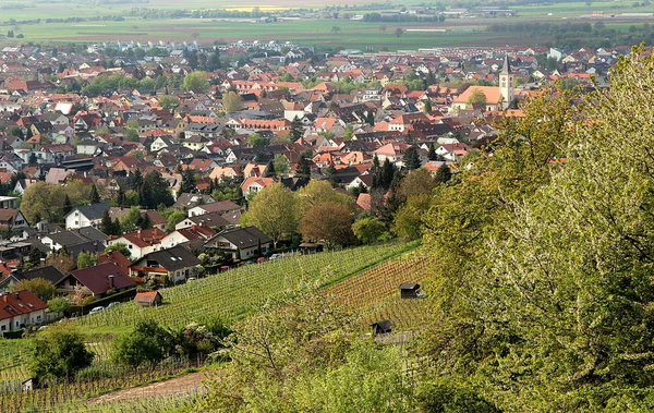 Schriesheim Vid Baden Bergsvägen — Stockfoto