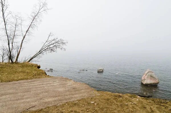 Väg Som Leder Till Havet — Stockfoto