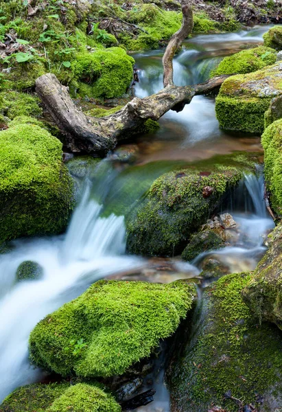 水流过布满苔藓的小溪流中的岩石 — 图库照片