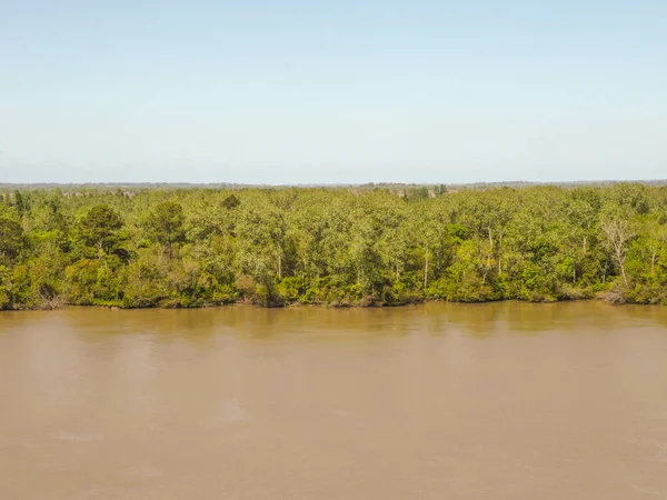 Delta Del Río Paraná — Foto de Stock