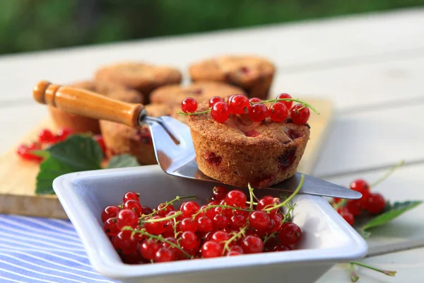 Muffinki Czerwonymi Porzeczkami — Zdjęcie stockowe