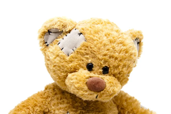 Teddy Bear Made Plush — Stock Photo, Image
