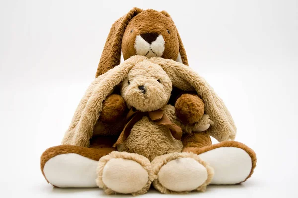 Plush Bunny Cuddle — Stock Photo, Image