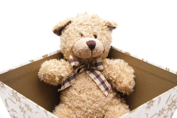 Teddy Bear Bow — Stock Photo, Image