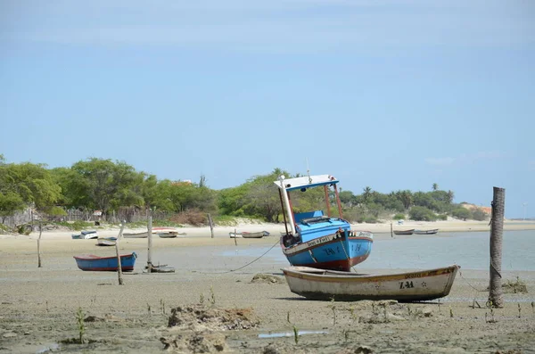 Barreiras Strand Makaó Brazília — Stock Fotó