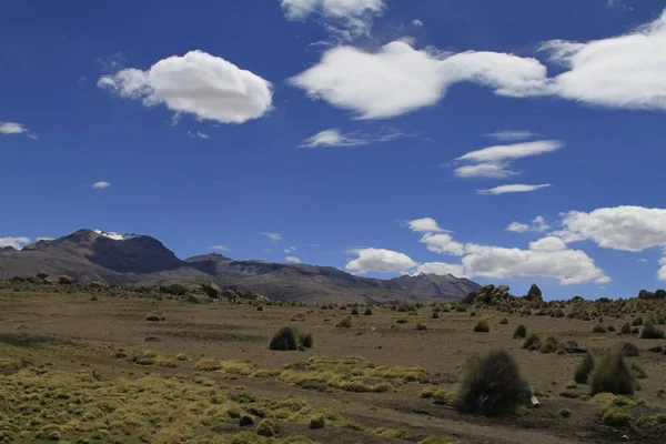 Parque Nacional Sajama Piękne Góry — Zdjęcie stockowe